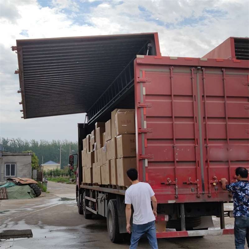 东山区扎囊县：物流专线的高效货运之旅